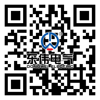 东伟电气（广东）有限公司